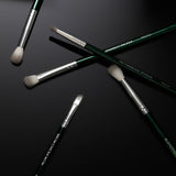 Starter Eye Makeup Brush Set